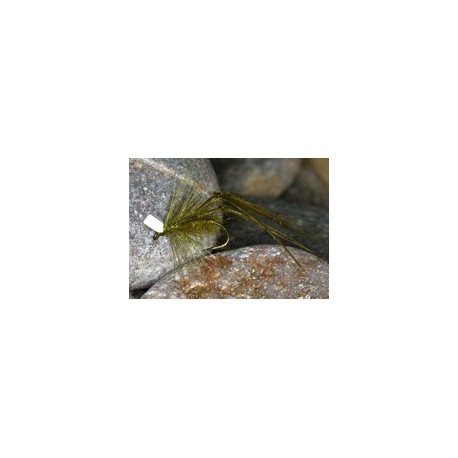 Olive Popper Hopper