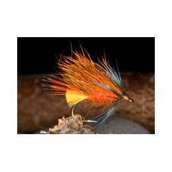 Orange Bumble Hog