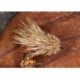 Orange Ice Sedgehog
