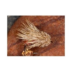 Orange Ice Sedgehog