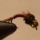 B.H. Present Tail