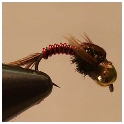B.H. Present Tail