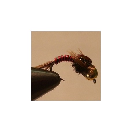 B.H. Present Tail