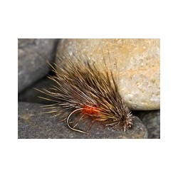 Orange S Hog