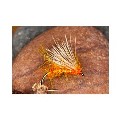 Peach Half Hog