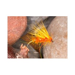 Peach Half Hog
