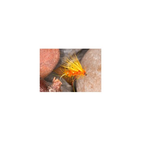 Peach Half Hog