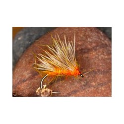 Peach Hedge Hog