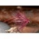 Pulling Hopper Claret