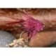 Pulling Hopper Muddled Claret