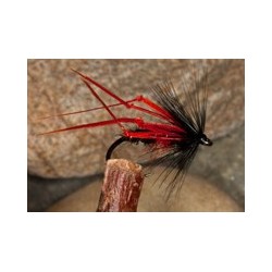 Red Leg Bibio