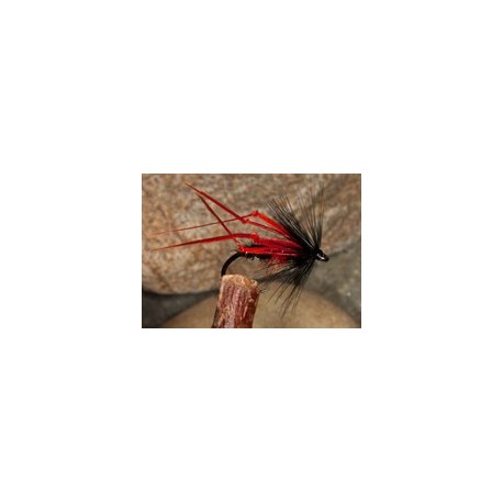 Red Leg Bibio