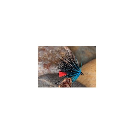 Sedge Hog Blue Zulu