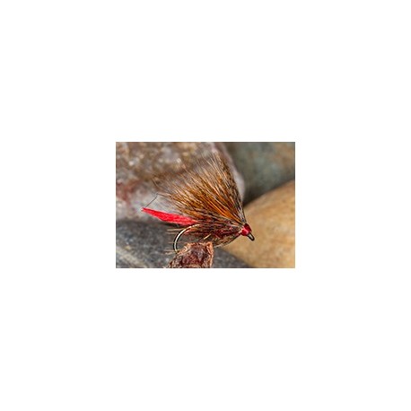 Sedge Hog Fiery Brown