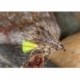 Sedge Hog Hares Ear
