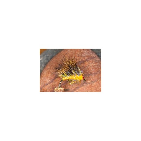 Strag Hog Orange