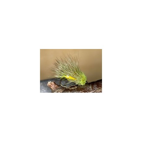 Straggle Sedge Hog Picric