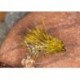 Uv Olive Sedge Hog