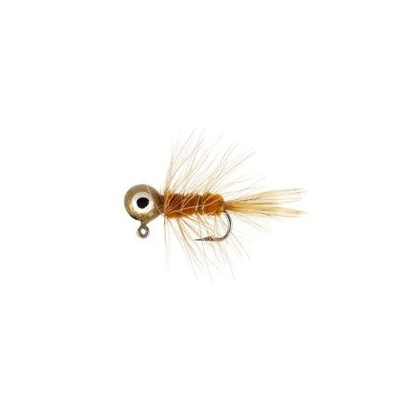 Brown Orange Eyed Jig