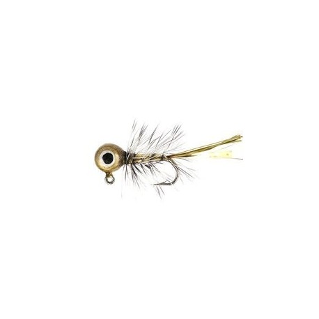 Gold Fancy Eyed Jig