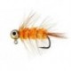 Orange Eyed Jig