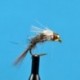 Bead Head Barr Emerger