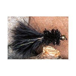 Blackpearlipn