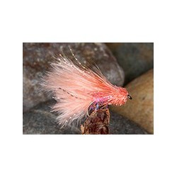 Coral Candy