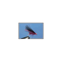 Cormorant Black Claret Uv