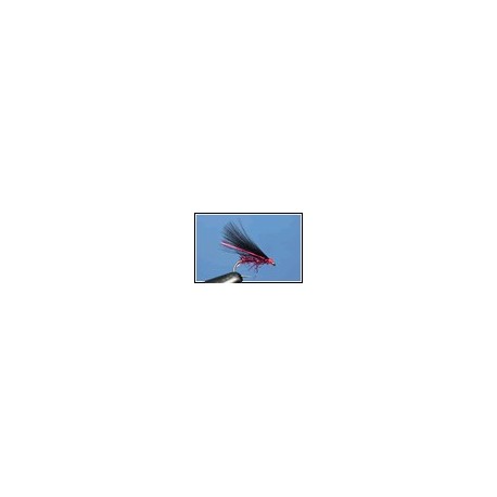 Cormorant Black Claret Uv