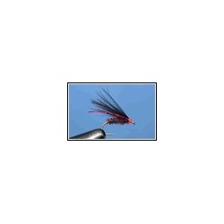 Cormorant Black Claret