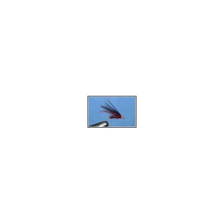 Cormorant Black Claret