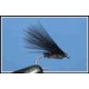 Cormorant Black