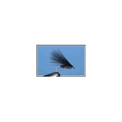 Cormorant Black