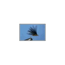 Cormorant Olive Black
