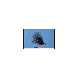Cormorant Red Cheek