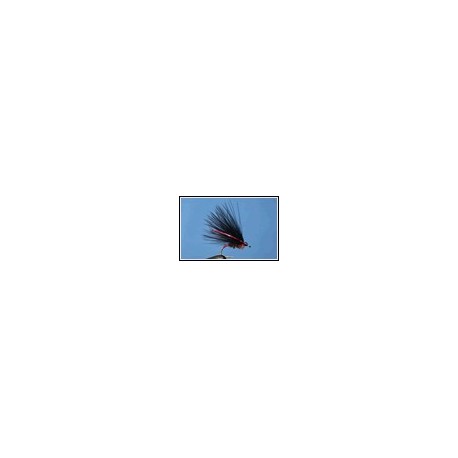 Cormorant Red Cheek