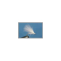 Cormorant White