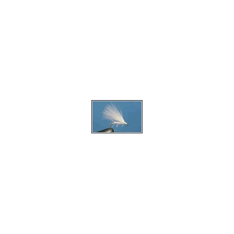 Cormorant White