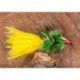 Crystal Sunburst Green
