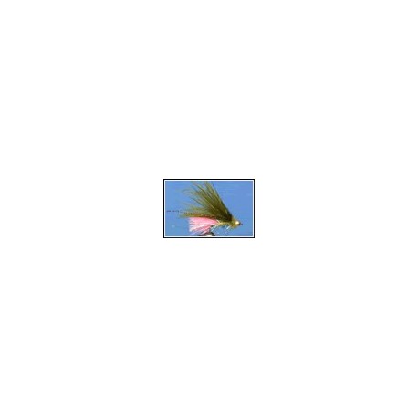 Dawson's Olive With Fluo Pinktail