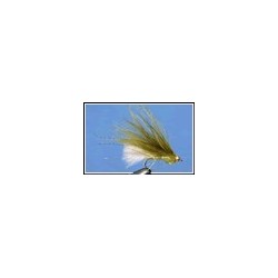 Dawson's Olive With White Tail