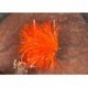 Fab Fluo Orange