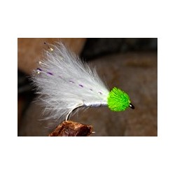Greenhead White Cat