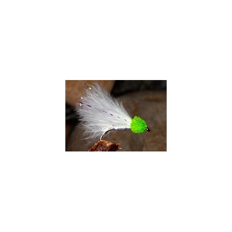 Greenhead White Cat