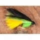 Hutchs Boardhouse Cat
