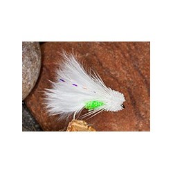 Hutchs White Cat