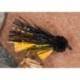 Peach Black Norski