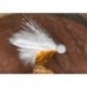 Pseudo Cat Booby White Sunburst