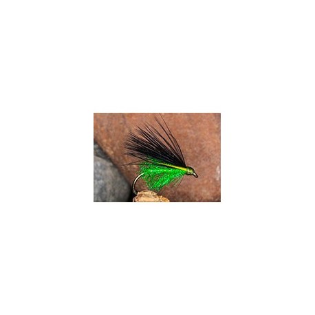 Pseudo Corm Cat Green